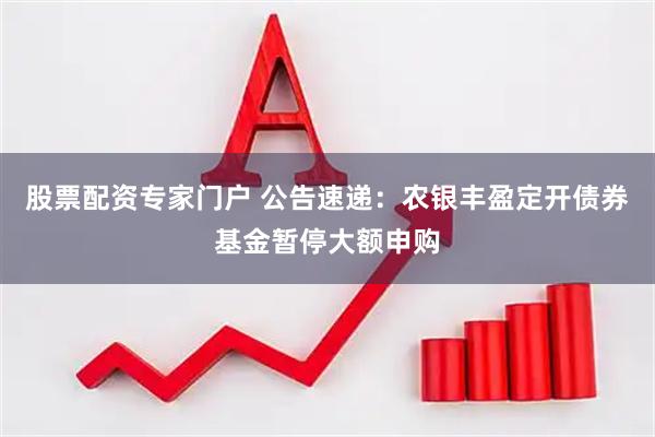 股票配资专家门户 公告速递：农银丰盈定开债券基金暂停大额申购