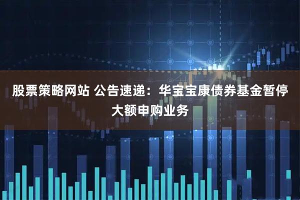 股票策略网站 公告速递：华宝宝康债券基金暂停大额申购业务