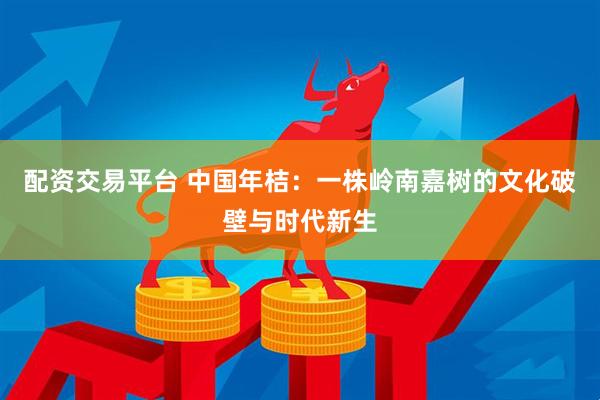 配资交易平台 中国年桔：一株岭南嘉树的文化破壁与时代新生