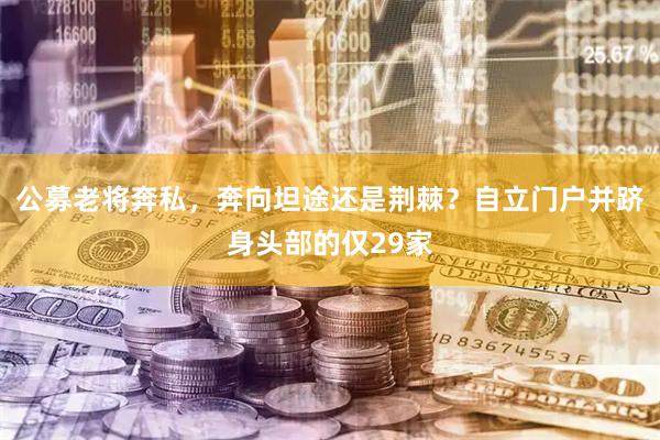 公募老将奔私，奔向坦途还是荆棘？自立门户并跻身头部的仅29家
