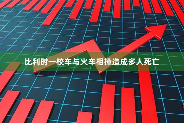 比利时一校车与火车相撞造成多人死亡
