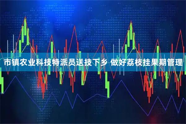 市镇农业科技特派员送技下乡 做好荔枝挂果期管理