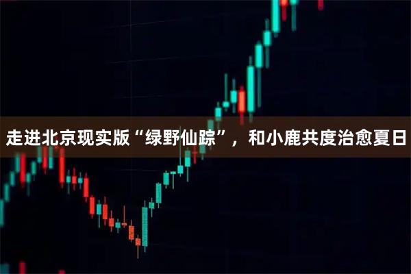 走进北京现实版“绿野仙踪”,和小鹿共度治愈夏日